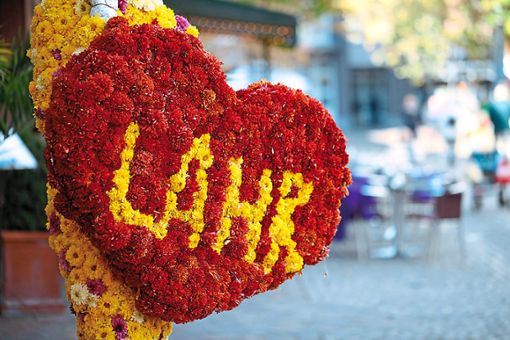 Die Chrysanthema ist die bekannteste Veranstaltung in Lahr. Ein Institut für Marketing und Kommunalentwicklung empfiehlt nun,  das Image als Blumenstadt weiter auszubauen.   Foto: Stadt