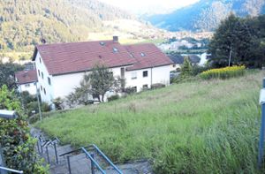 Am Hang am Oberen Kastaniendobel in Wolfach soll ein Mehrfamilienhaus mit sechs Wohnungen entstehen. Foto: Jehle