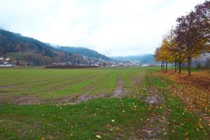 Hier wird von Haslacher Seite aus die neue Gemeindverbindungsstraße nach Fischerbach verlaufen, die Kinzig wird beim Bildstöckle (Bildmitte) überquert.  Foto: Dorn