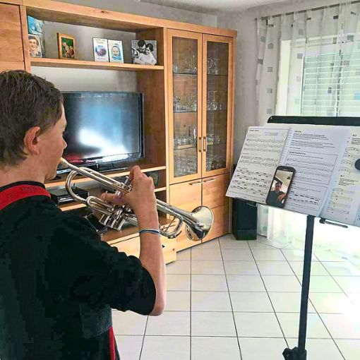 Kreativ und pragmatisch: Schüler der Grafenhausener Musikkapelle werden aktuell per Videochat unterrichtet.Foto: Verein Foto: Lahrer Zeitung