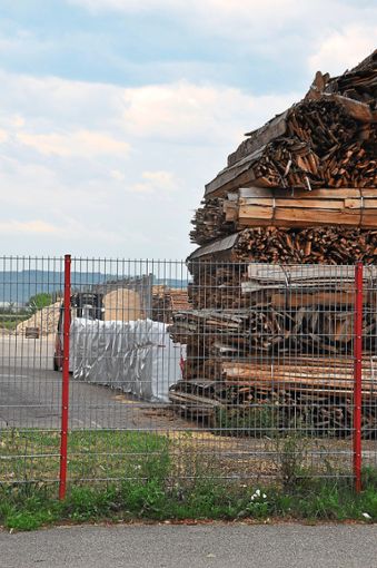 Eine der wichtigen Fragen: Wie viel welcher Holzart wird künftig im Pellet-Werk verbrannt?  Foto: Bender