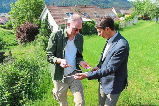 Bürgermeister Thomas Schneider (rechts) hilft Biologe Hans Ondraczek bei der Vermessung des Tieres.  Foto: Störr Foto: Schwarzwälder Bote