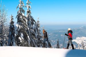 Der Brandenkopf ist im Winter ein beliebtes Ausflugsziel für Urlauber – etwa zum Schneeschuhwandern.  Foto: Ferienregion Brandenkopf Foto: Schwarzwälder Bote
