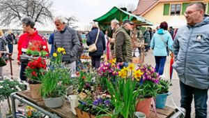 Von Blumengesteck bis Fruchtaufstrich: Hunderte Besucher strömen zur Münchweierer Pflanzenbörse