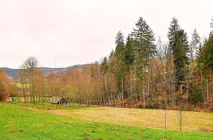 Auf der Wiese oberhalb des Tretenhofs am Tretenbach soll der Hobbitwagen für den neuen Waldkindergarten in Seelbach aufgestellt werden. Quelle: Unbekannt