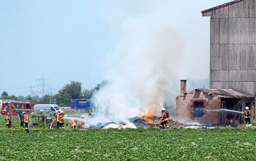Die Feuerwehr war mehrere Stunden im Einsatz, um den Brand auf dem mehrere Hektar großen Erdbeerfeld zu löschen. Foto: Ullrich