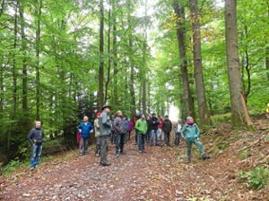 Friesenheimer haben sich gemeinsam mit Förster Christian Junele (vorne Mitte) auf einen Spaziergang durch den heimischen Wald begeben.  Foto: Bohnert-Seidel