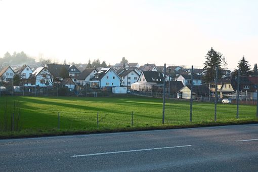 Der alte Sportplatz in Heiligenzell soll an die Gemeinde Friesenheim zurückgehen. Dafür erhält der SV Heiligenzell eine Flutlichtanlage.  Foto: Bohnert-Seidel Foto: Lahrer Zeitung