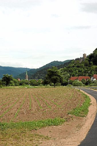 Interkommunale Gewerbefläche besitzt Hausach im Hasenfeld. Foto: Gehringer