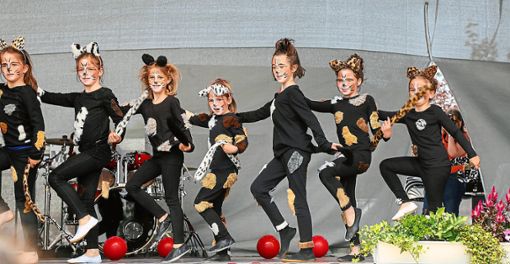 Die Kätzchen des TuS Ringsheim zeigten bei Ausschnitten aus dem Musical Cats ihr tänzerisches Talent. Foto: Decoux-Kone Foto: Lahrer Zeitung