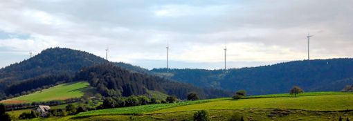 Der Bürgerwindpark Südliche Ortenau besteht aus insgesamt sieben Windkraftanlagen, die auf dem Höhenzug zwischen Schuttertal und Ettenheim stehen.  Foto: Baublies Foto: Lahrer Zeitung