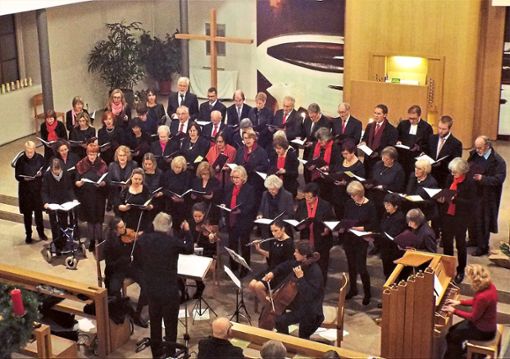 Die Sänger des evangelischen Kirchenchors Altenheim zeigten ihr musikalisches Können.  Foto: Heitzmann Foto: Lahrer Zeitung
