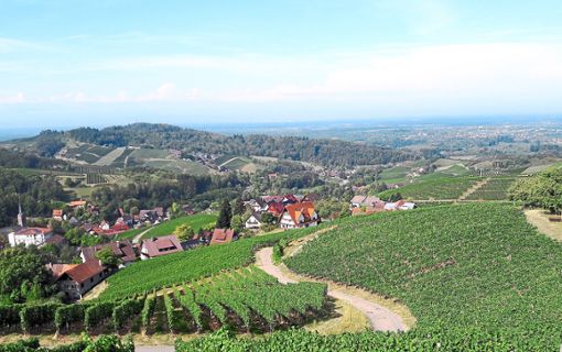 Das Weinland Breisgau hat viele schöne Ecken, auf dem Breisgauer Weinweg kann man diese wandernd erleben. Fotos:  thü Foto: thü