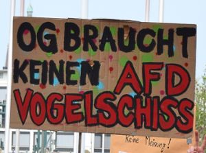 Offenburg bereitet sich auf den AfD-Bundesparteitag vor. Plakate wie dieses von 2019 dürften wieder zu sehen sein. Foto: Lahrer Zeitung