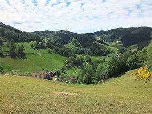 Schöne Ausblicke und beliebte Wanderwege – wie hier den Hausacher Bergsteig – hat das Kinzigtal zu bieten. Dass der Schwarzwald sich 2020 zu einem beliebten Ziel für Gäste entwickelt, hofft die hiesige Tourismusbranche. Foto: Beule Foto: Schwarzwälder Bote