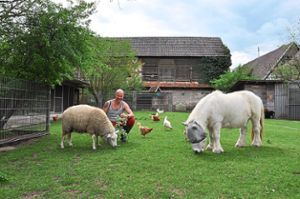Tierpfleger Dennis sorgt sich neben weiteren Angestellten um das Wohl der Tiere auf dem Hof in Ichenheim. Die Tierhilfs- und Rettungsorganisation  sucht dringend nach weiteren Helfern. Vor allem über eine tiermedizinische Fachangestellte würde sich das Team freuen.   Foto: Goltz