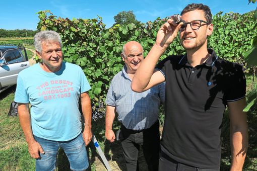 Stimmt das Mostgewicht? fragt sich Richard End (rechts) von der Ortenauer Weinkellerei, Johannes Jäger  und auch Richard Kopf (links) zeigen sich zufrieden. Foto: Bohnert-Seidel