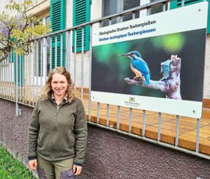 Cosima Zeller ist die neue Rangerin des Naturschutzgebiets Taubergießen. Foto: RPF