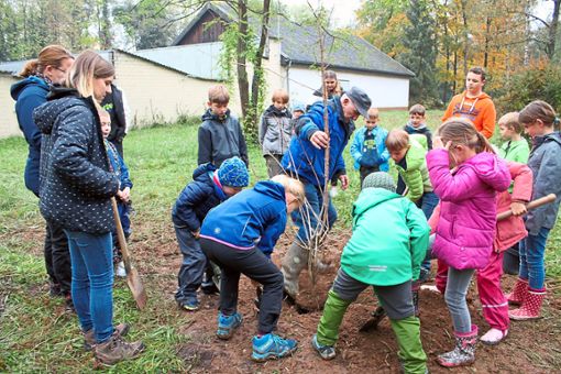 Kinder vom Ruster Jugendzentrum haben zusammen mit dem Schützenverein einen Feldahorn-Baum gepflanzt.  Foto: Mutz Foto: Lahrer Zeitung