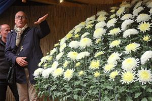 Lahr verdankt  der Stadt Kasama Impulse für die Chrysanthema. Richard Sottru (Foto), Chef der Abteilung Öffentliches Grün, hat sich In Japan Anregungen geholt: So war 2016  eine Ozukuri zu sehen.  Foto: Archiv