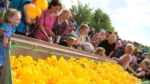 After-Work-Party in Ettenheim: Gummi-Enten dürfen wieder schwimmen