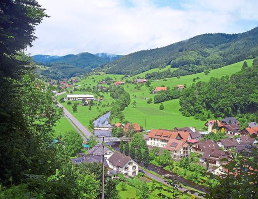 Einfallstor für den Nationalpark – der Oberwolfacher Gemeinderat votiert einstimmig für den Beitritt zur Nationalparkregion.  Foto: Haas Foto: Schwarzwälder Bote