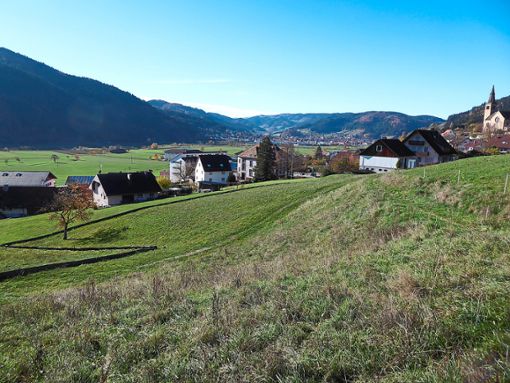 Das Baugebiet Oberer Wiesenrain umfasst insgesamt 19,1 Hektar und wird in 25 Grundstücksflächen aufgeteilt. Foto: Dorn