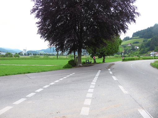 Mit einer Verbindungsstraße einen alternativen Weg zwischen Fischerbach und Haslach geben.  Foto: Dorn Foto: Schwarzwälder Bote