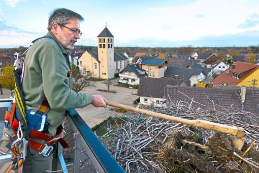 Wolfgang Hoffmann bei der Nestpflege – hier  beim  Storchennest auf der alten Schule  in Niederhausen. Foto: privat Foto: Lahrer Zeitung