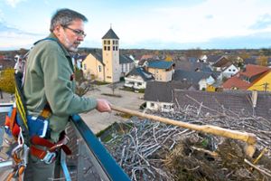 Wolfgang Hoffmann bei der Nestpflege – hier  beim  Storchennest auf der alten Schule  in Niederhausen. Foto: privat Foto: Lahrer Zeitung