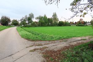 Das gesamte Grundstück bis zum Feldweg ist Teil des  neuen Bebauungsplans Alter Sportplatz in Schuttern.  Foto: Bohnert-Seidel