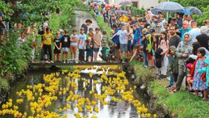 1380 Gummitiere in Ettenheim: Alle Augen auf die gelben Enten