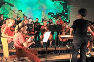 Die Schulorchestertage Baden-Württemberg werden  durch  die vielen Nachwuchsmusiker entscheidend mitgestaltet.  Foto: Haberer Foto: Lahrer Zeitung