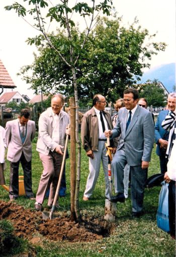 1987 pflanzte eine Delegation aus Kappel am Rhein im Schweizer Kappel im Kanton Solothurnein Kastanienbäumchen.  Fotos: Batte Foto: Lahrer Zeitung