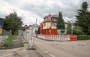 Nächste Woche werden die Kanalumbauarbeiten in der Bienlestraße wieder aufgenommen.  Foto: Decoux-Kone