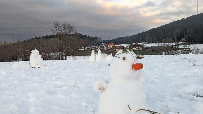 Eis- und Schnee-Pracht: Schwabo sucht die schönsten Winterbilder