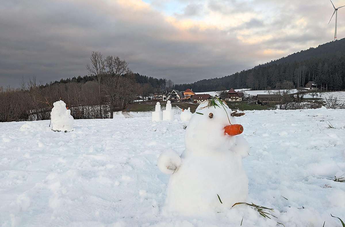 Dieser Schneemann steht auf der Wiese vor den Nillhöfen in Fischerbach. Foto: Fischer