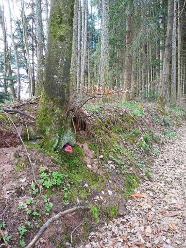 Unter einem Baum beim Regelsbach  haben Tierhalter ihre Hundekot-Tüten in der Natur entsorgt. Foto: Gemeinde