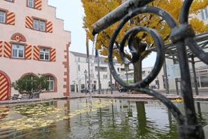 Während das Wasser am Stockbrunnen sprudelt, wird es mit den Finanzen im Friesenheimer Haushalt sehr eng.  Foto: Bohnert-Seidel Foto: Lahrer Zeitung
