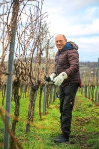 Der Macher in den Reben: Mit dem ersten Schnitt der Weinstöcke beginnt unsere Saison, sagt  WG-Vorsitzender Klaus Rösch.  Foto: Decoux-Kone