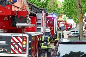 25 Kräfte der Ettenheimer Feuerwehr waren am Dienstag in der Luisenstraße im Einsatz. Foto: Ullrich