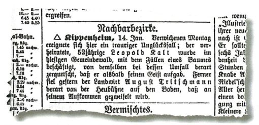 Die traurige Nachricht am 16. Januar 1886 in der Lahrer Zeitung über den Waldarbeiter-Unfall zwischen Kippenheim und Sulz.Repro: LZ Foto: Lahrer Zeitung