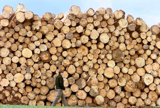 11 700 Festmeter Holz hat die FBG vergangenes Jahr vermarktet. Foto: Symbolfoto: Seeger