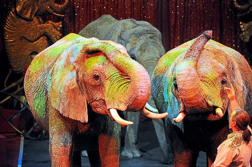 Das Aus: Die Elefanten, die bei der Zirkus-Revue für mehrere Shows in der Wintersaison eingeplant waren, werden die Besucher in Rust nicht zu Gesicht bekommen. Das hat eine Sprecherin des Europa-Parks gestern Abend bekannt gegeben. Foto: Archivfoto Europa-Park