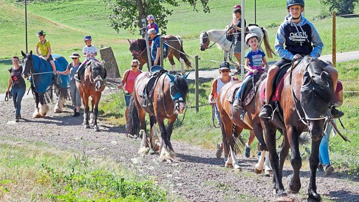 Ferienprogramm Seelbach: Kinder das erste Mal auf einem Pferderücken