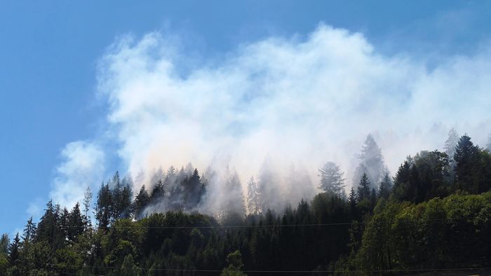 Großeinsatz im Wald: Update: Feuer in Kirnbach unter Kontrolle