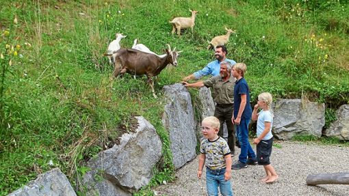 Bürgermeister Matthias Bauernfeind (hinten) und die Nachbarskinder der Grube Wenzel nähert sich langsam  den Ziegen von Bernhard Reitsamer, der den Schremppenhof betreibt. Foto: Fischer