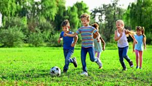 Etwas gegen  Bewegungsarmut von  Kindern tun: Dafür wollen sich die Mitglieder der  Ballschule Ortenau stark machen. Foto: Stock Adobe