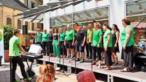 Im Frühsommer will der Chor, wie hier beim Landesmusikfestival in Bruchsal, in Dörlinbach im Freien singen. Foto: Verein