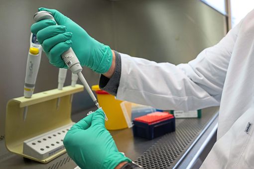 Nachträgliche Laboruntersuchungen von positiven PCR-Tests haben für den Ortenaukreis nun ergeben, dass es bisher mehr als 220 Fälle von Infektionen durch mutierte Corona-Viren gab.  Foto: Gollnow
